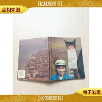 脸谱上的地图 10个自我放逐的西行故事