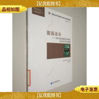 能源经济经典译丛·能源效率:实时能源基础设施的投资与风险管理