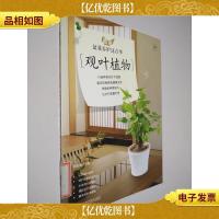 图说盆栽养护这点事:观叶植物