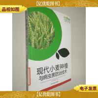 现代小麦种植与病虫害防治技术