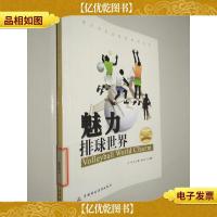 魅力排球世界