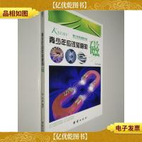 青少年应该知道的磁