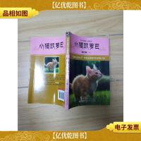 中外动物小说精品 第3辑 小猫欧罗巴