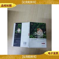 左手倒影 右手年华[扉页有笔迹][后扉页有笔迹]