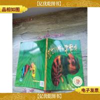 乱七八糟的变色龙