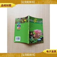 热带鱼家养小经验小窍门