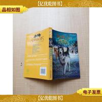 狗武士 2 诡影迷踪