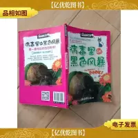 疯狂的探险之旅 病毒里的黑色风暴