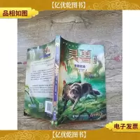 灵兽系列:寻猎征途