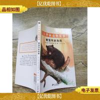 被宠坏的狗熊