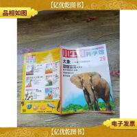 小牛顿科学馆 29 大象 动物宝宝(大16开)