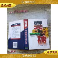 突破:中国特区启示录(精装)