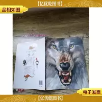 动物行为揭秘 战斗