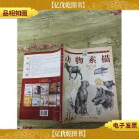 动物素描(大16开)