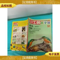 小牛顿科学馆 51 翠鸟