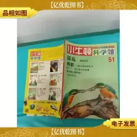 小牛顿科学馆 51 翠鸟