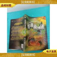 惊魂的迷团大全集 4