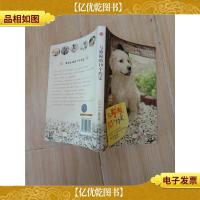 与狗狗的10个约定