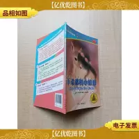 小弟弟和小姐姐
