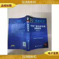 中国广播电影电视发展报告(2013)