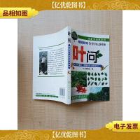 叶问 根据树叶鉴别身边的树种