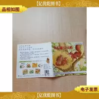 小松鼠过马路