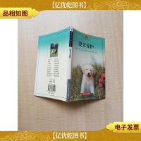生活情趣丛书 爱犬养护