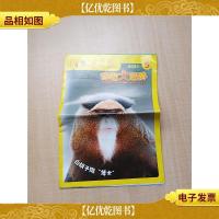 中国儿童画报 动物大世界 2021.05 白胡子猴“博士”/杂志[封面