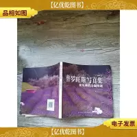 普罗旺斯写真集 鼠尾草的法国味道