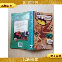[外文原版]A Guide to Rocks & Fossils[扉页有印章][正