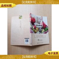 邂逅文艺的多肉植物志