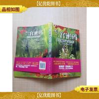 兰宫密码 盗墓贼的诡异经历