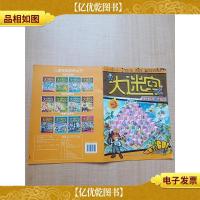 《大迷宫系列丛书:反恐行动系列 沙漠篇》