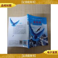 彩虹鸽 吉林摄影出版社