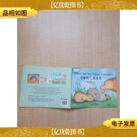 你藏哪了,跟屁熊[封面有贴纸][扉页有污迹]