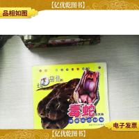 让你害怕的毒蛇等爬行动物