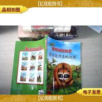 吉尔达河边的浣熊