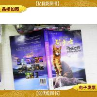 钩星的承诺-猫武士外传-4