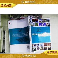 我的中国梦丛书:乘着梦想的翅膀