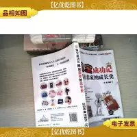 淘宝成功记:网店卖家的成长史