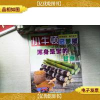 小牛顿启蒙版浑身是宝的甘蔗*辑②