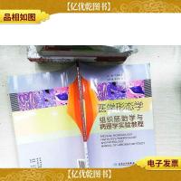 医学形态学:组织胚胎学与病理学实验教程