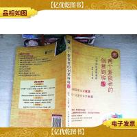 两个素食者的创意厨房2