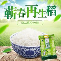 银兴大米禾生稻5kg真空袋装天然无农药
