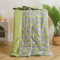 宏石家纺-时尚达人亲肤夏被