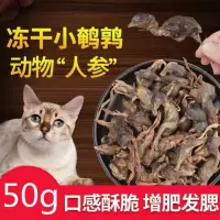 冻干鹌鹑宠物猫咪零食增肥发腮补钙狗零食冻干粮生骨肉猫粮