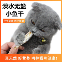 猫零食白条小鱼干淡水无盐鱼条幼猫补钙磨牙营养增肥即食猫粮狗粮