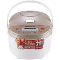 九阳电饭煲JYF-30FE08