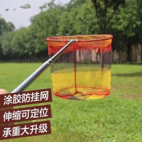 不锈钢抄网可折叠抄网头捕渔网休闲鱼网垂钓装备渔具用品 50涂胶防挂网 其他