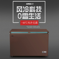 重庆星星单温风冷冷柜BD/BC289WDV